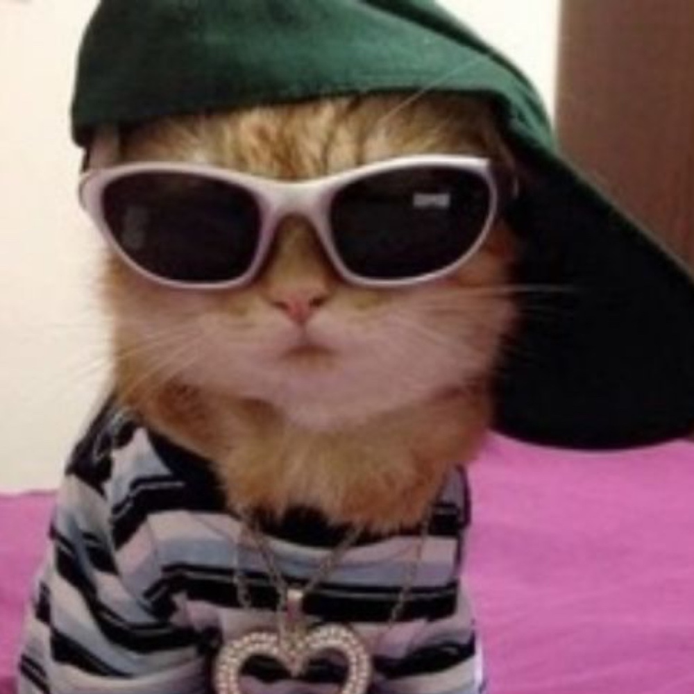 Meet your Posher, Gabby